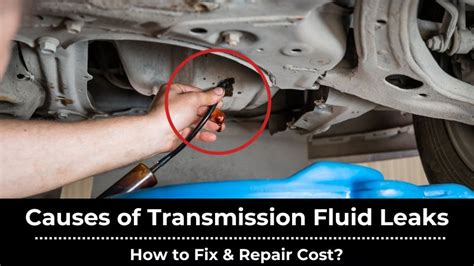 what causes transmission fluid to leak|What Causes Transmission Fluid to Leak